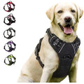 Reflective Adjustable Harness