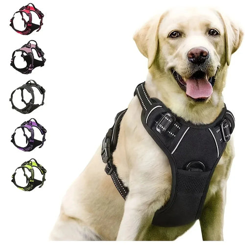 Reflective Adjustable Harness