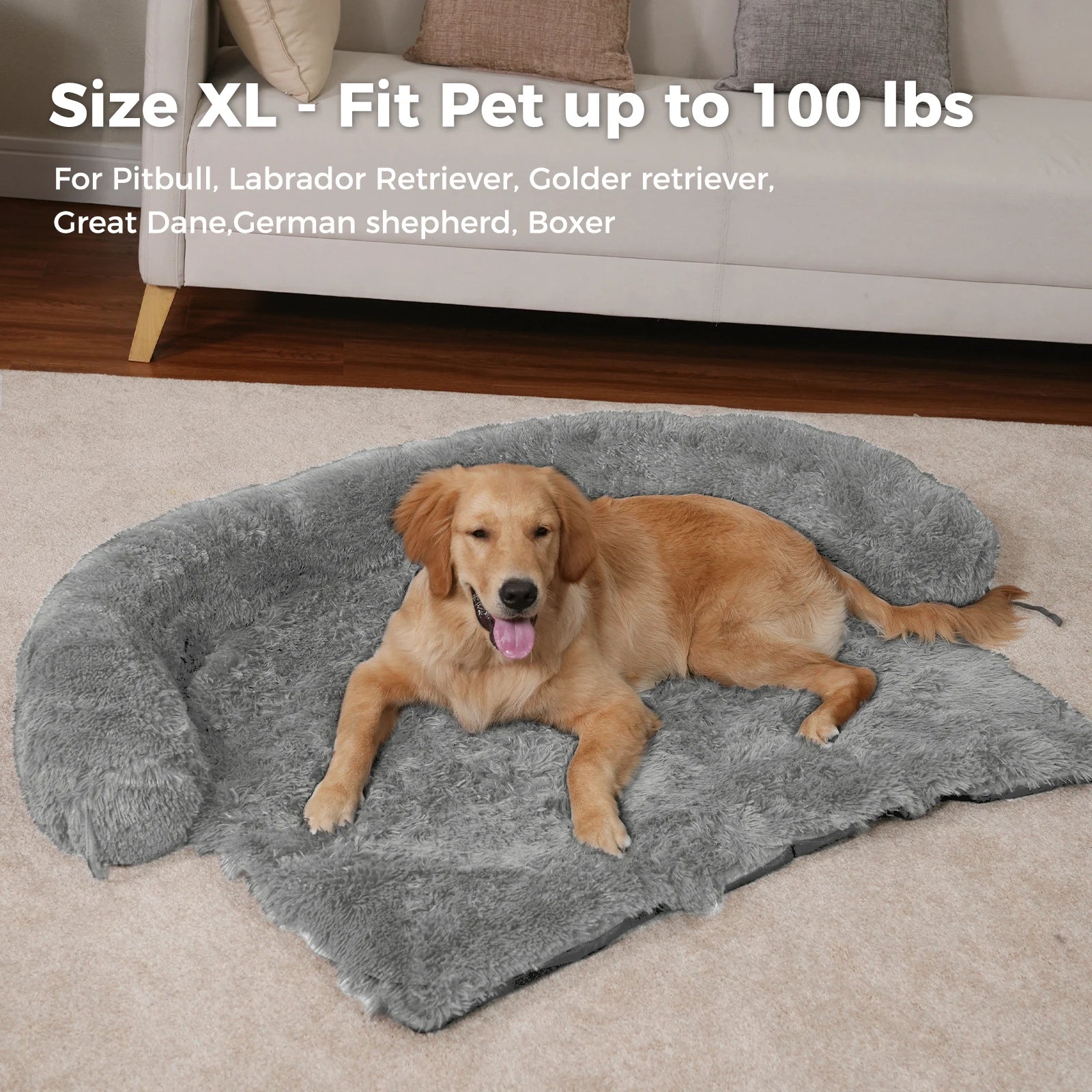 Cozy Washable Sofa Bed